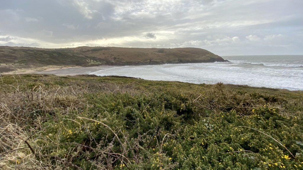 Manorbier in February